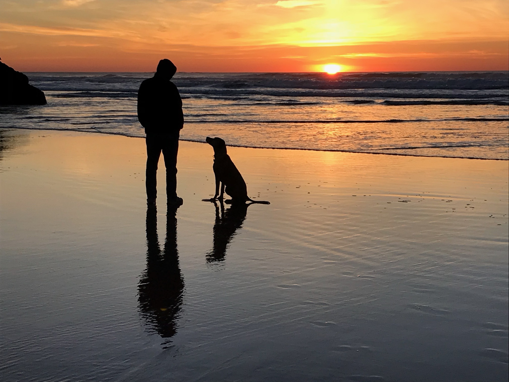 man with dog on the beach at sunset